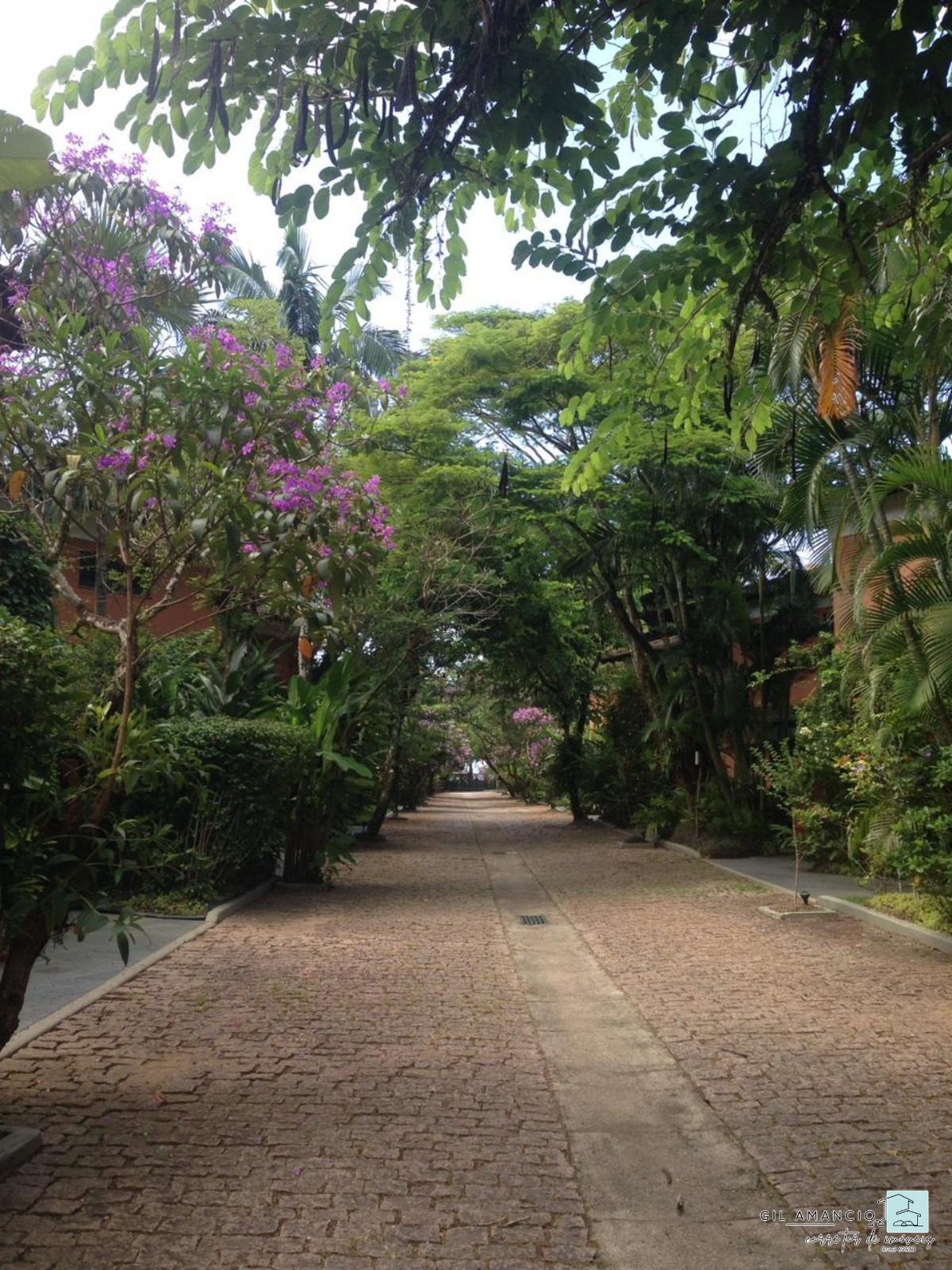 Casa de Condomínio, 4 quartos - Foto 11