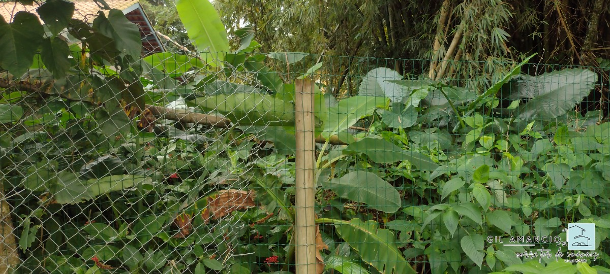 Terreno, 450 m² - Foto 1