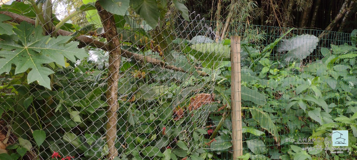 Terreno, 450 m² - Foto 2