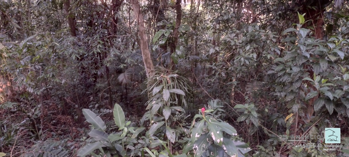 Terreno, 1 m² - Foto 8