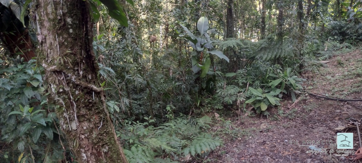 Terreno, 1 m² - Foto 7